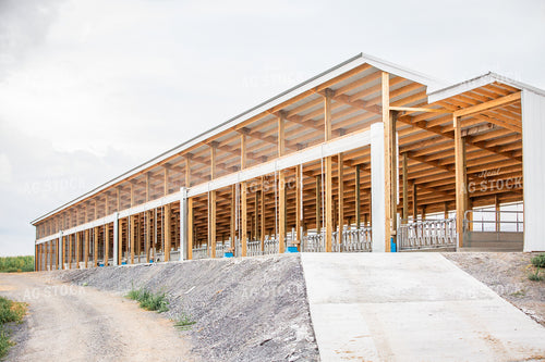 New Construction Freestall Barn 270172