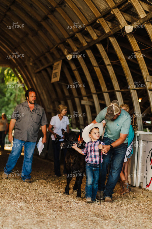 Showing Cattle 115081