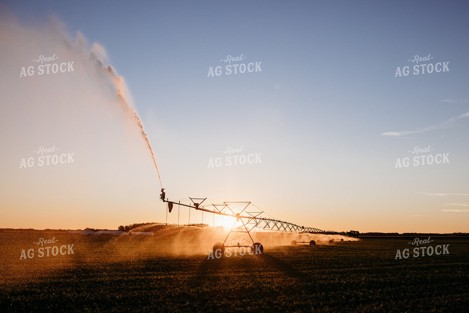 Irrigated Field 152199