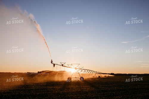 Irrigated Field 152199