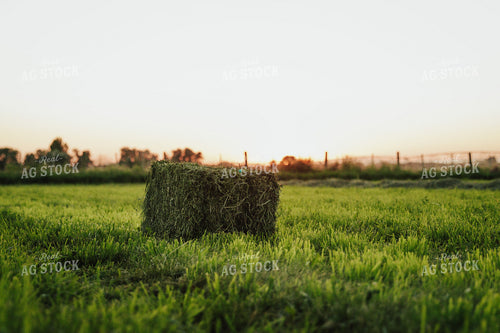 Square Hay Bales 83112