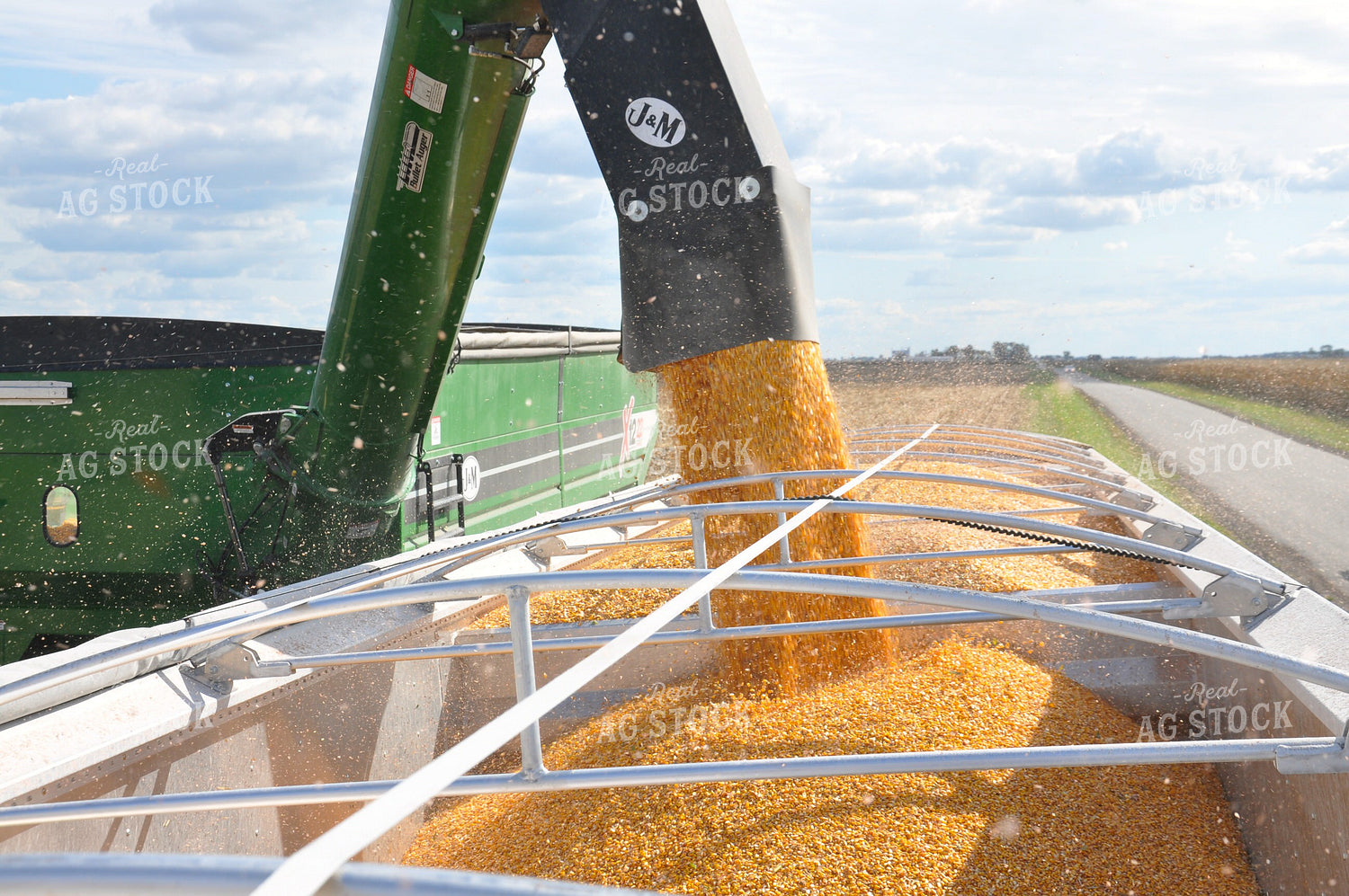 Corn Harvest 277010