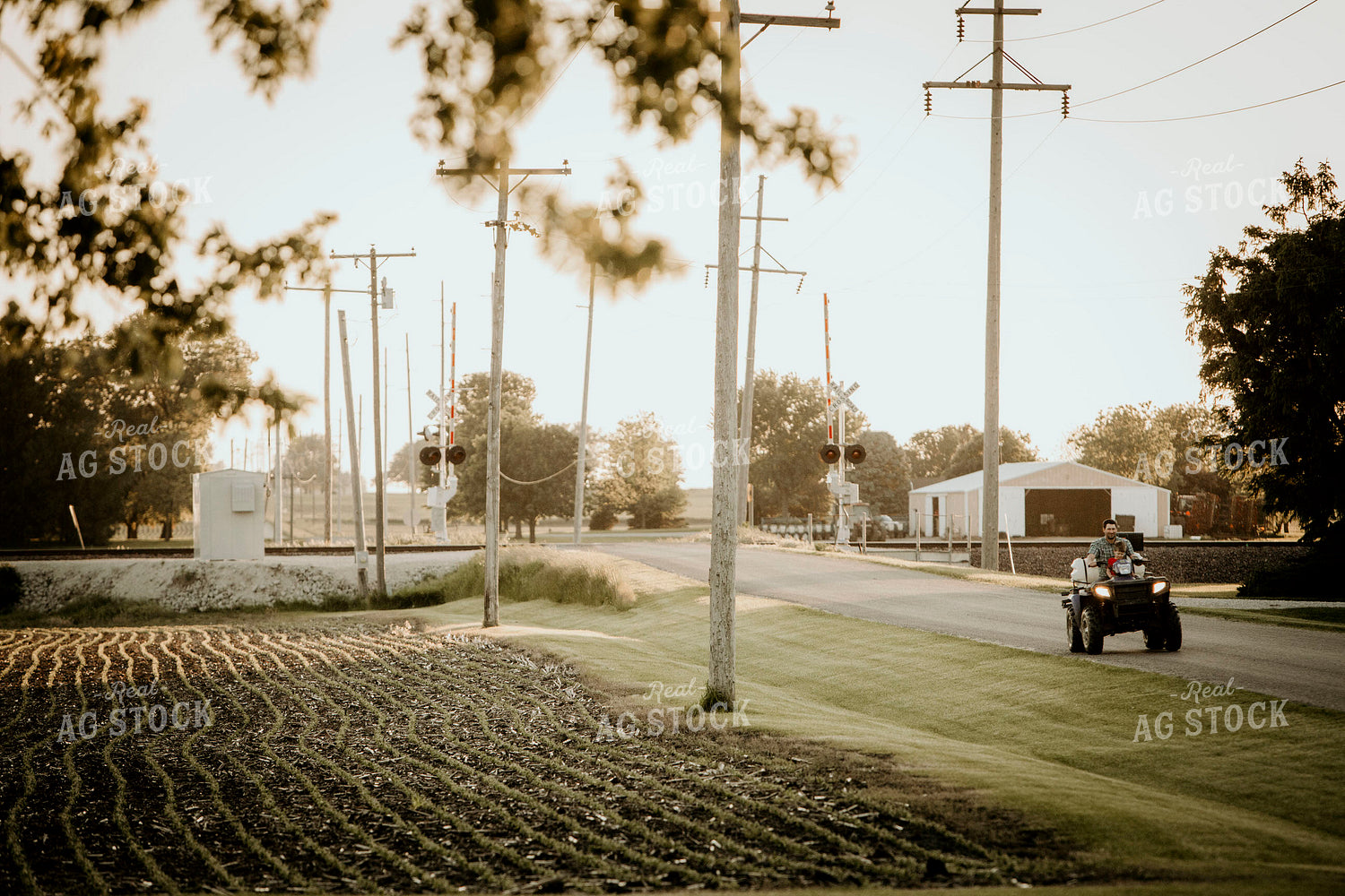 Farmer 2920