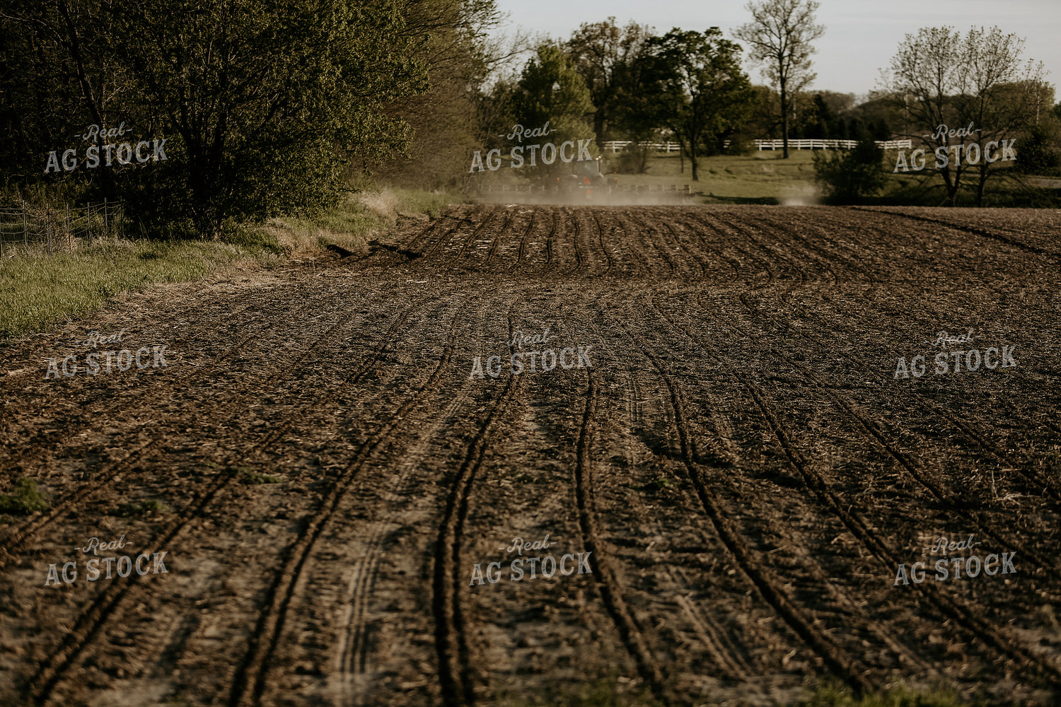 Planting 2850