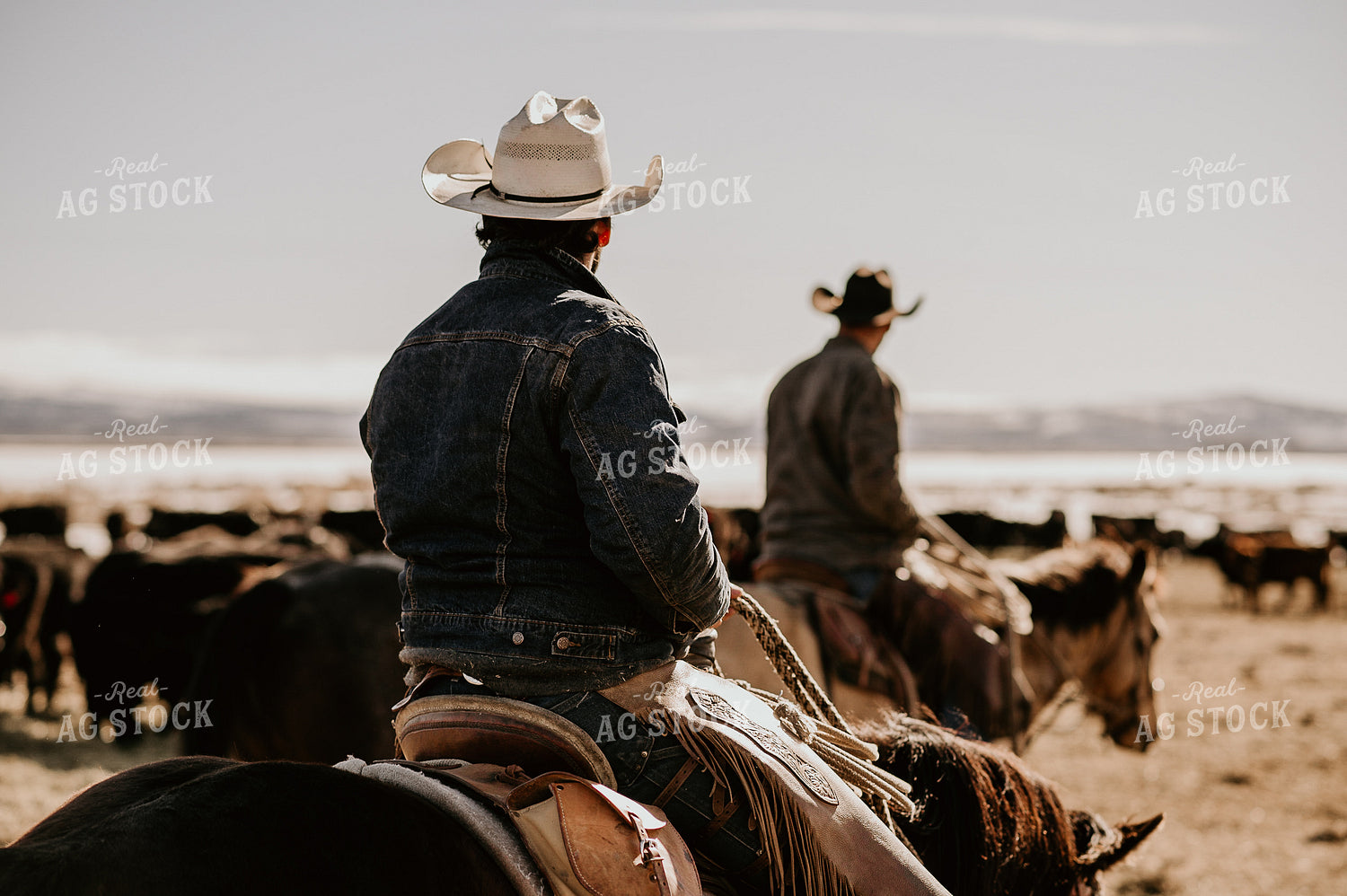 Ranchers on Horses 54026