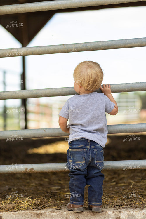 Farm Kid Doing Chores 93380