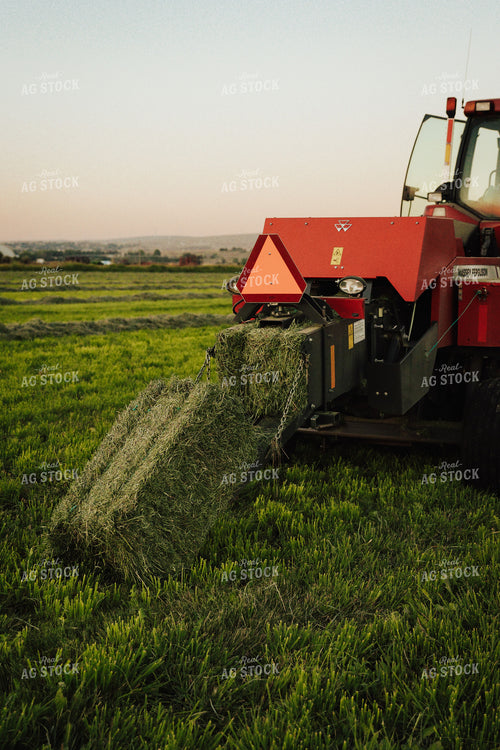 Baling Hay 83114