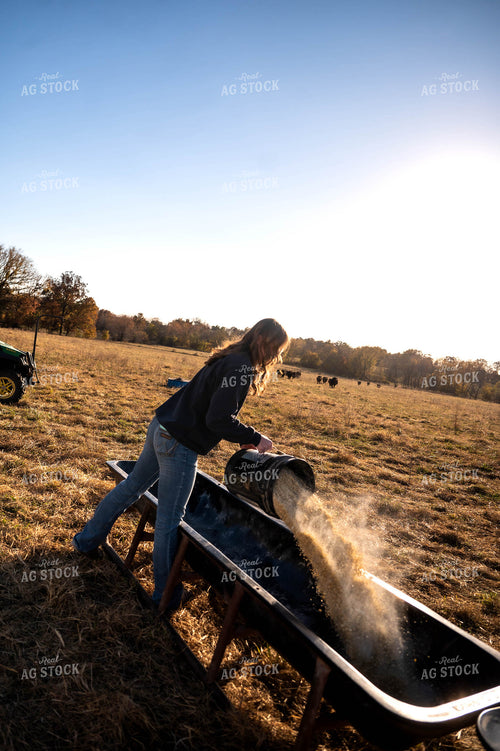 Female Farmer Feeding Cattle 115481