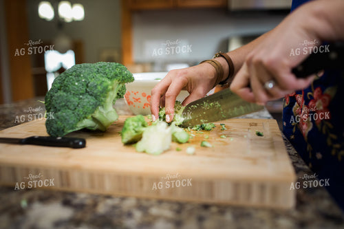 Farm Wife Prepping Meal in Kitchen 4396