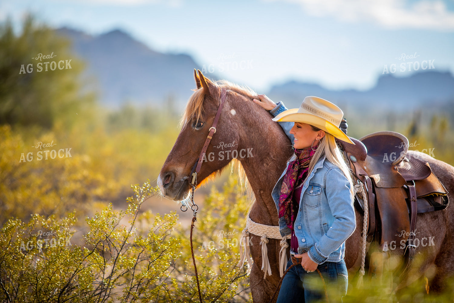 Cowgirl with Horse 290063