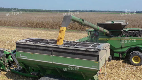 Corn Harvest 79510