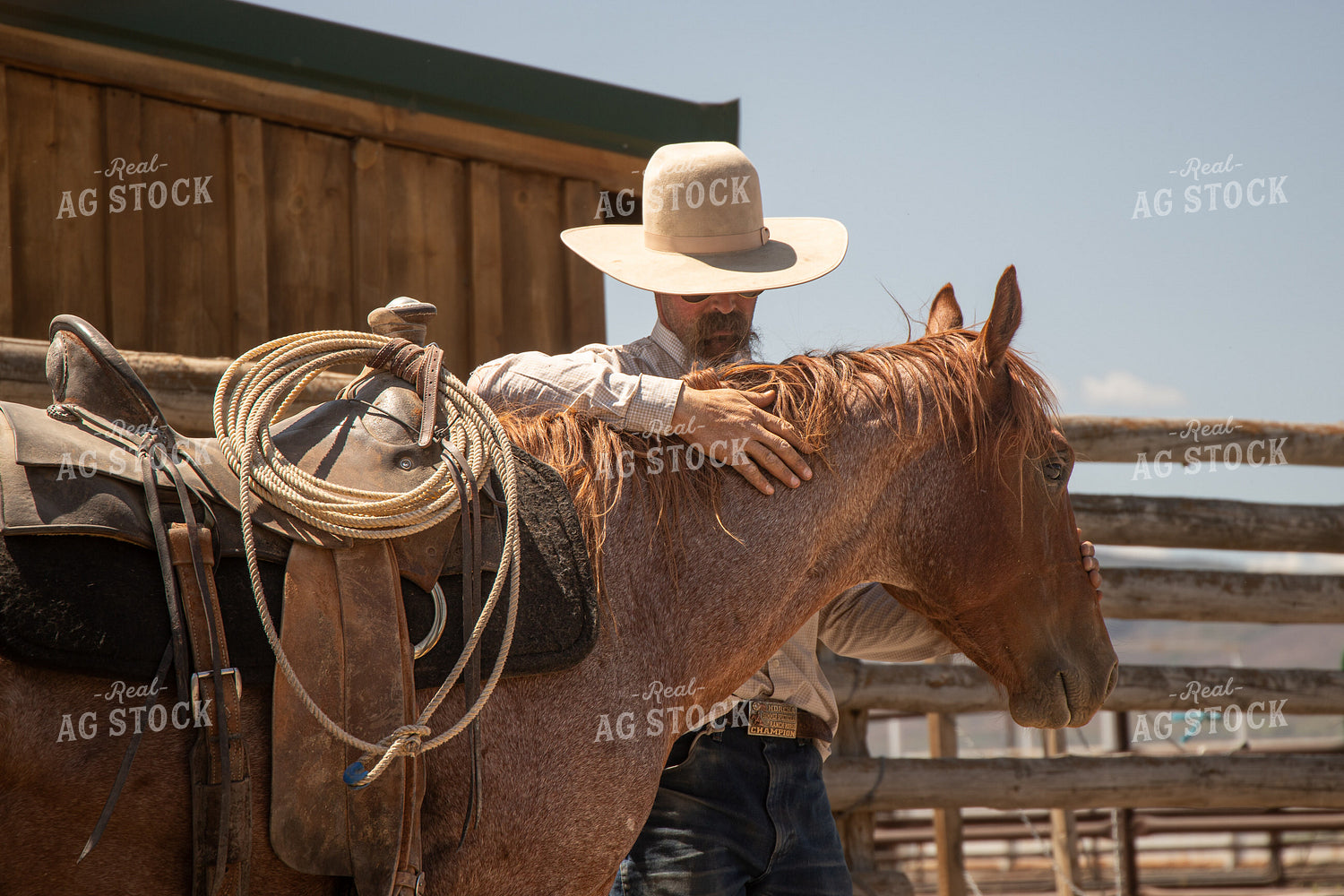 Training Colts 78242
