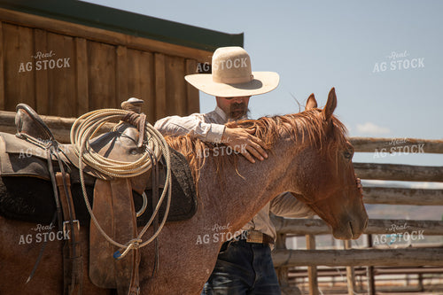 Training Colts 78242