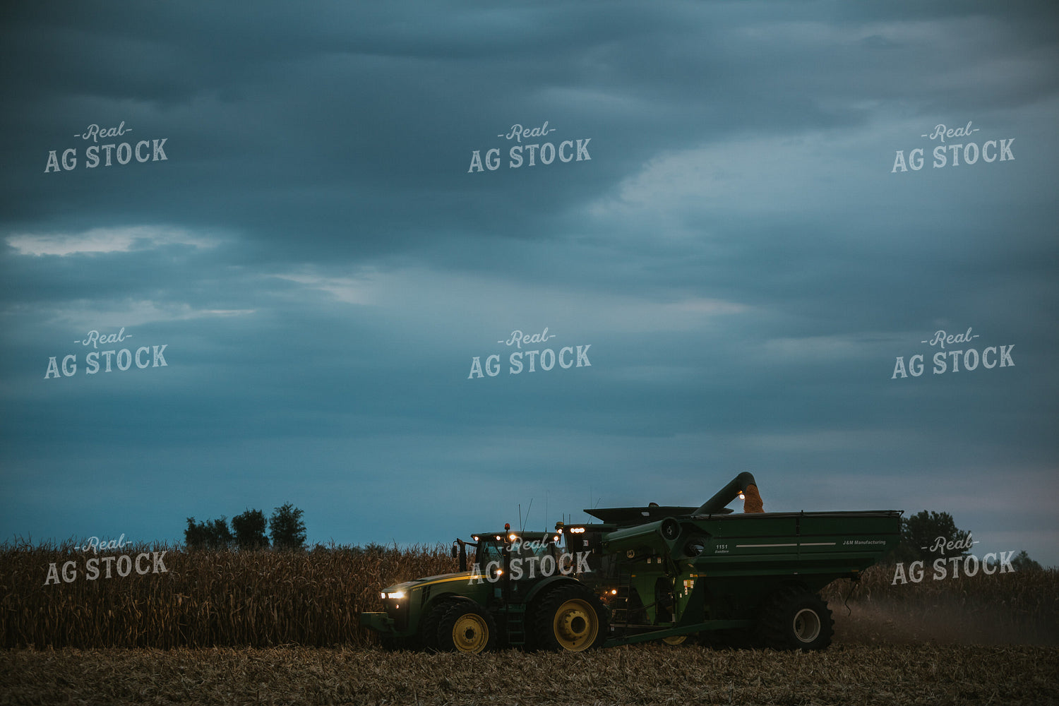 Corn Harvest 6707