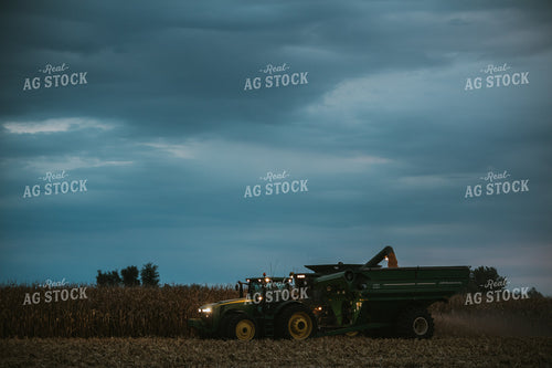 Corn Harvest 6707