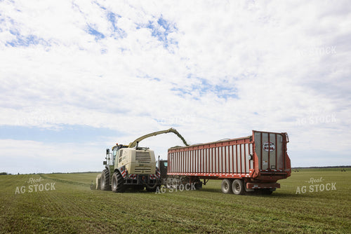 Harvesting Hay Silage 152447