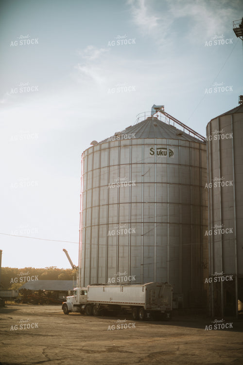 Semi and Grain Bins 6837