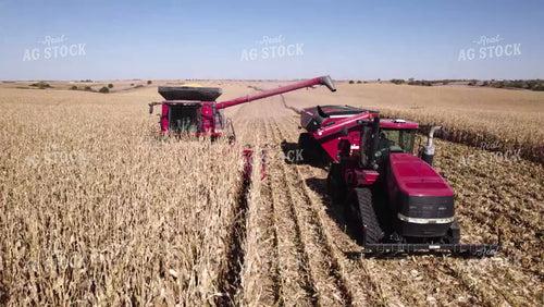 Corn Harvest 114085