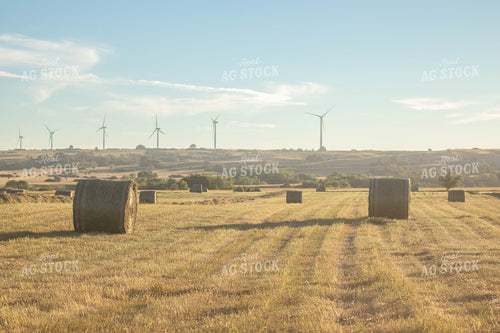 Hay Bales in Field 72085