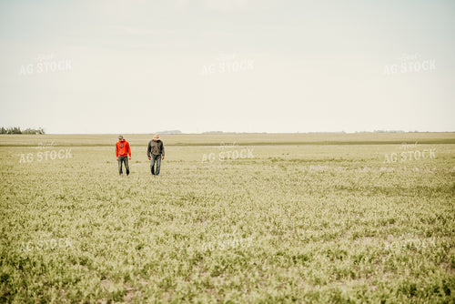 Farmers Walking in Hay Field 64127