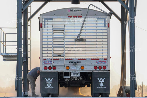 Dumping Grain 109125