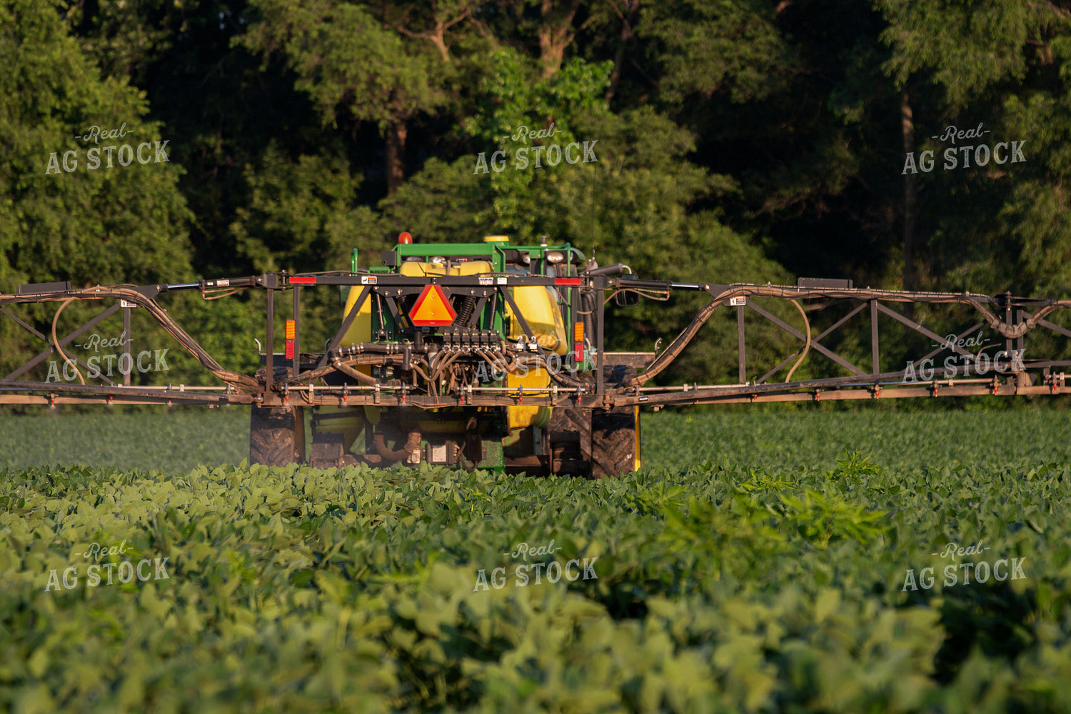 Spraying Soybean Field 157203