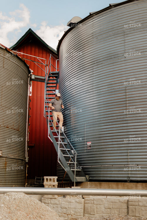 Farmer Climbing Down Grain Bin 9343