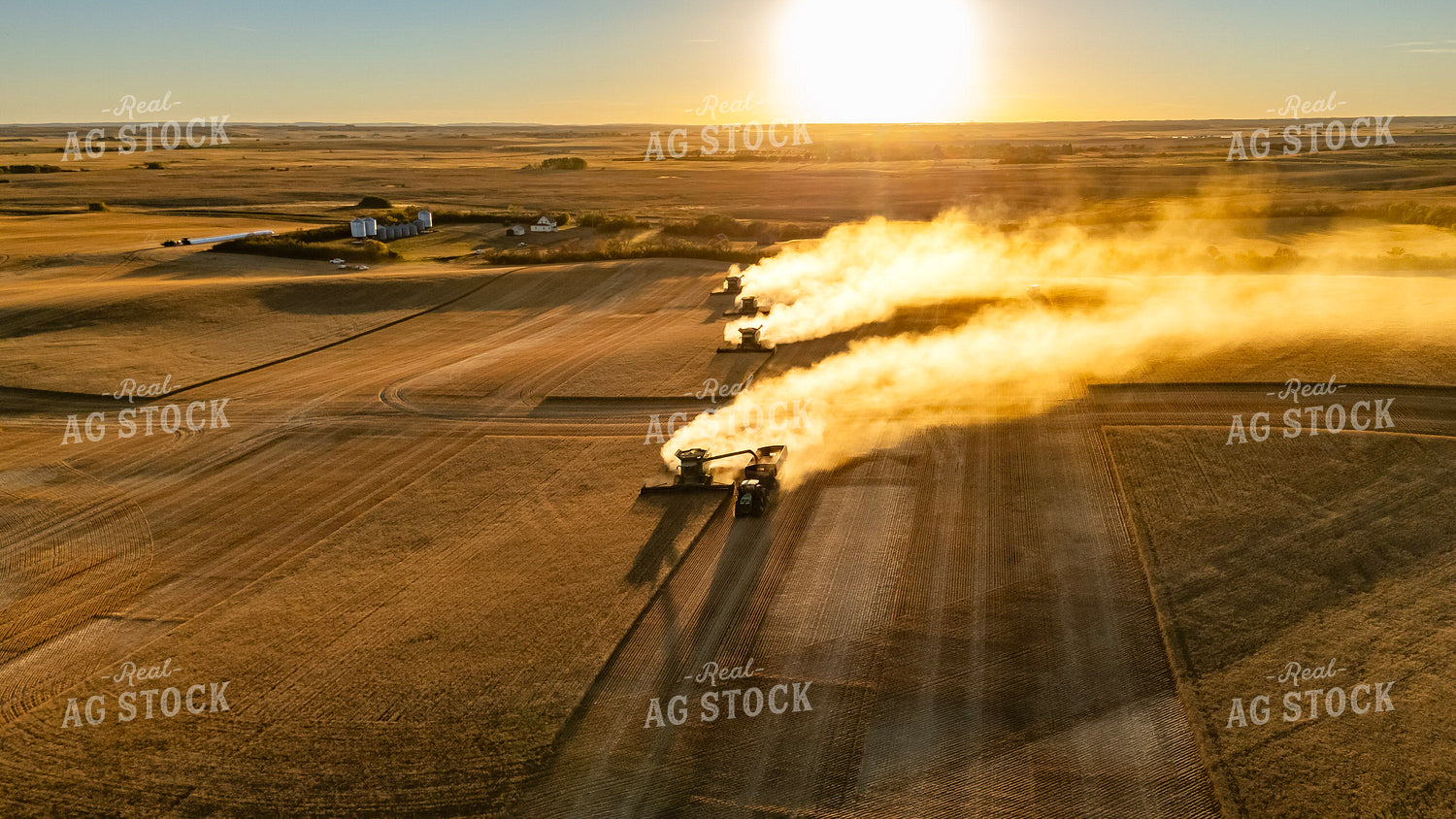 Wheat Harvest 187287