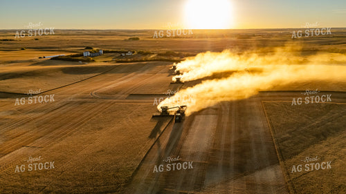 Wheat Harvest 187287