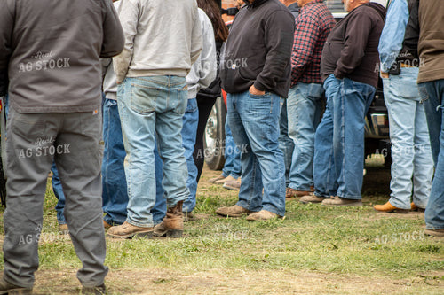 Famers at an Auction Sale 214120
