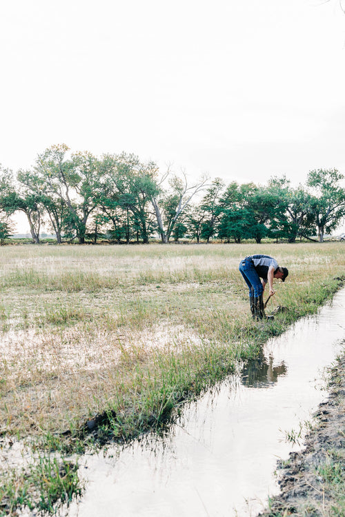 Farmer with Ditch Irrigation 61036