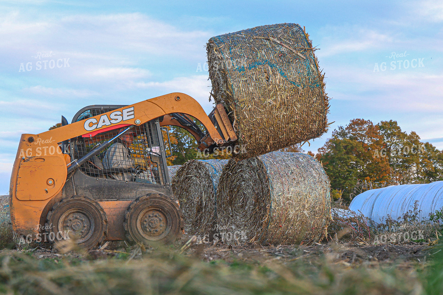 Moving Corn Stalk Bales 160365