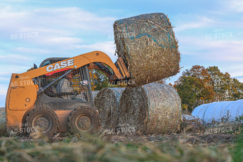 Moving Corn Stalk Bales 160365
