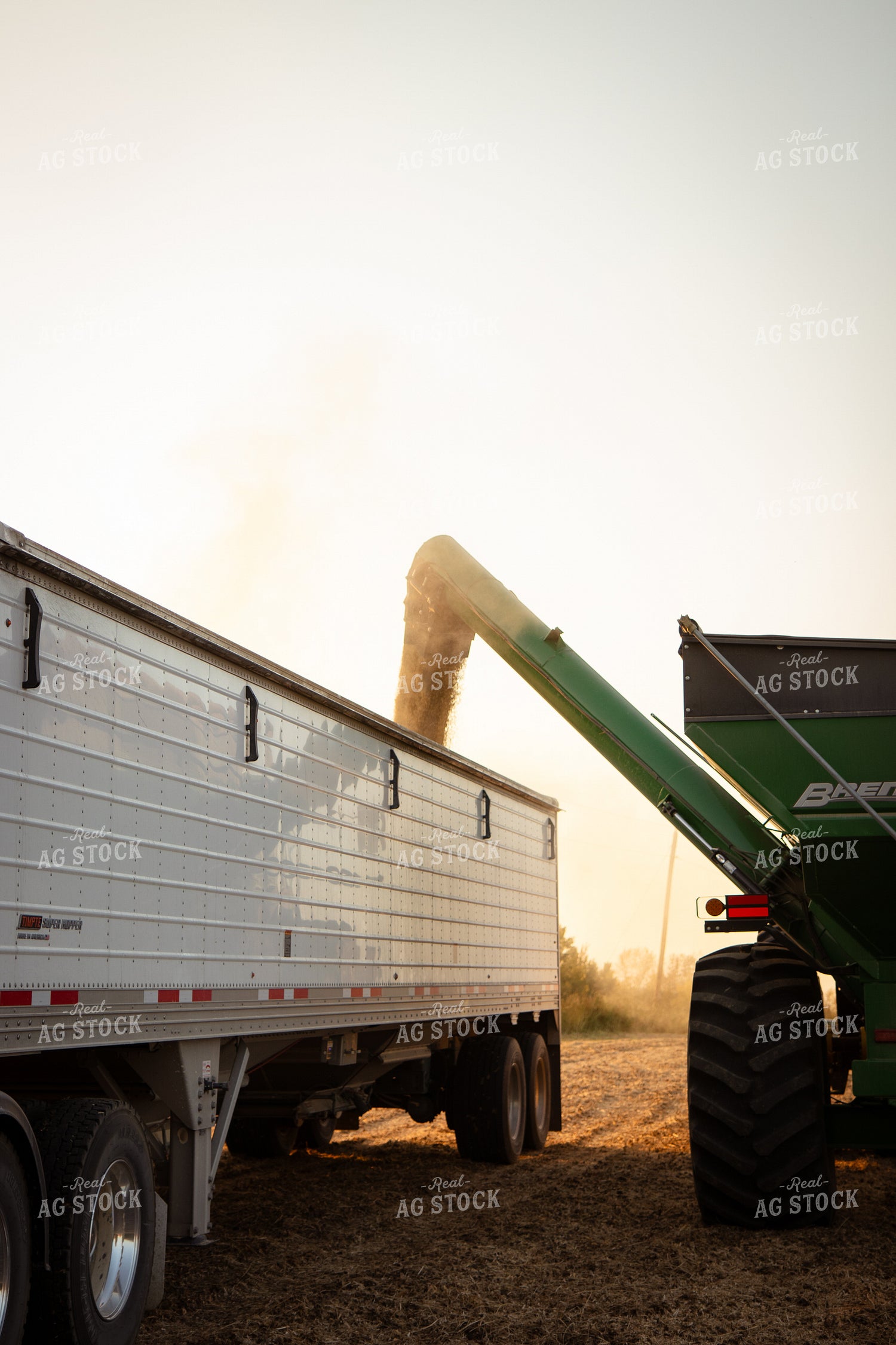Soybean Harvest 268087