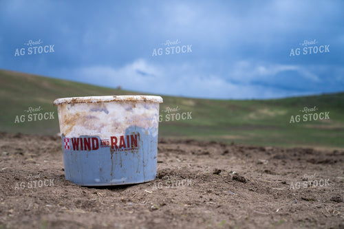 Container with Wind and Rain Logo in Rural Outdoor Landscape 65275