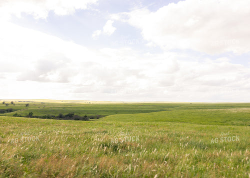 Scenic Pasture 264028