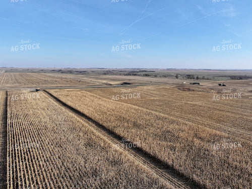 Aerial of Corn Harvest 141081