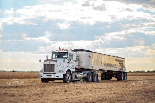 Semi in Field 93214