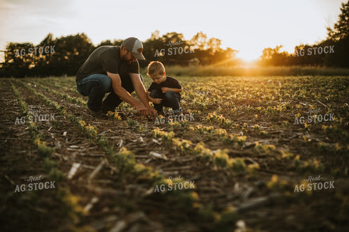 Farmer and Son in Field 6902