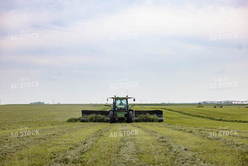 Merging Hay 152652