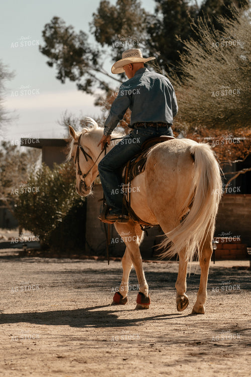 Rancher on Horse 58235