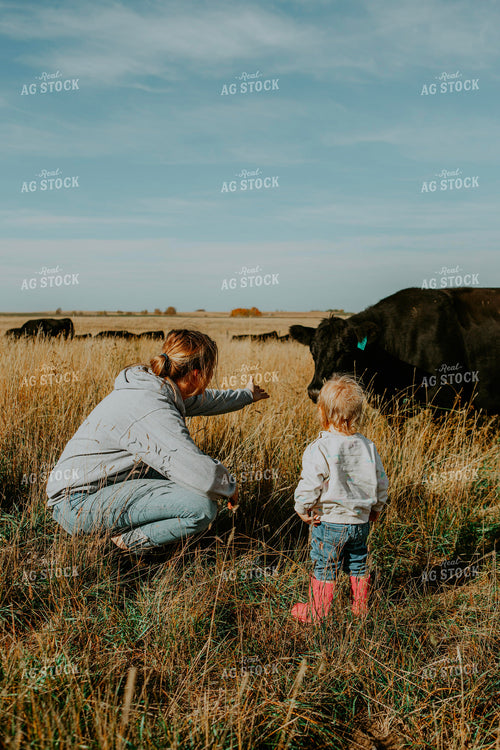 Ranch Family Checks Cows 187087