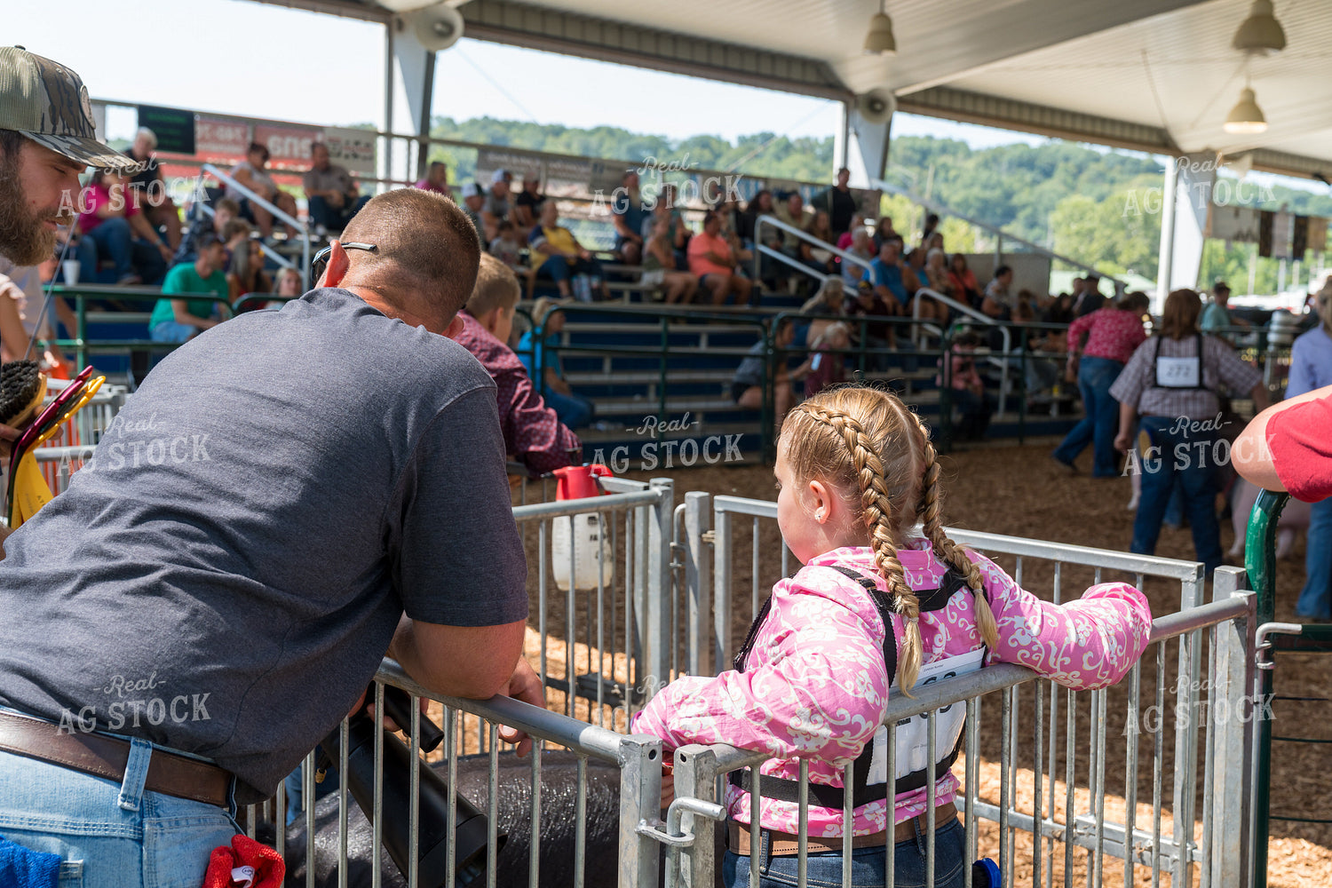 Showing Pigs 295086