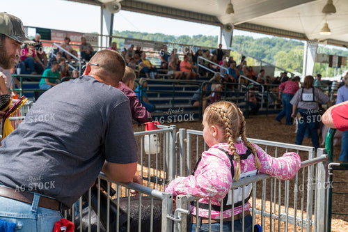 Showing Pigs 295086