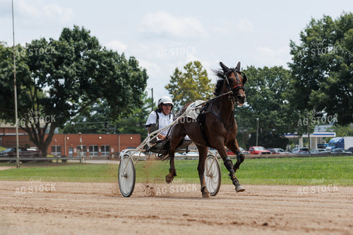 Harness Racing 295180
