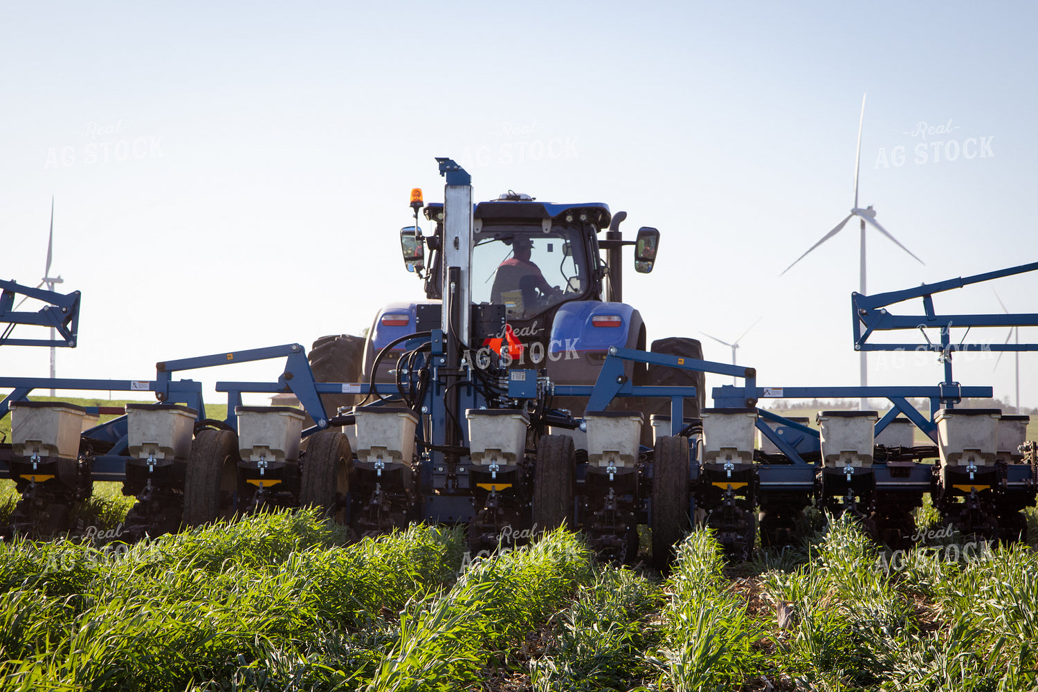Planting into Cover Crop 268323