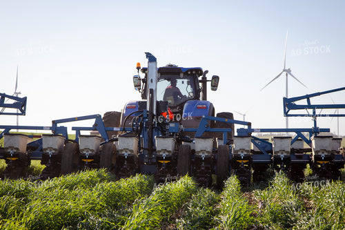 Planting into Cover Crop 268323