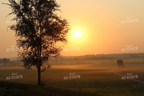 Foggy Landscape 214015