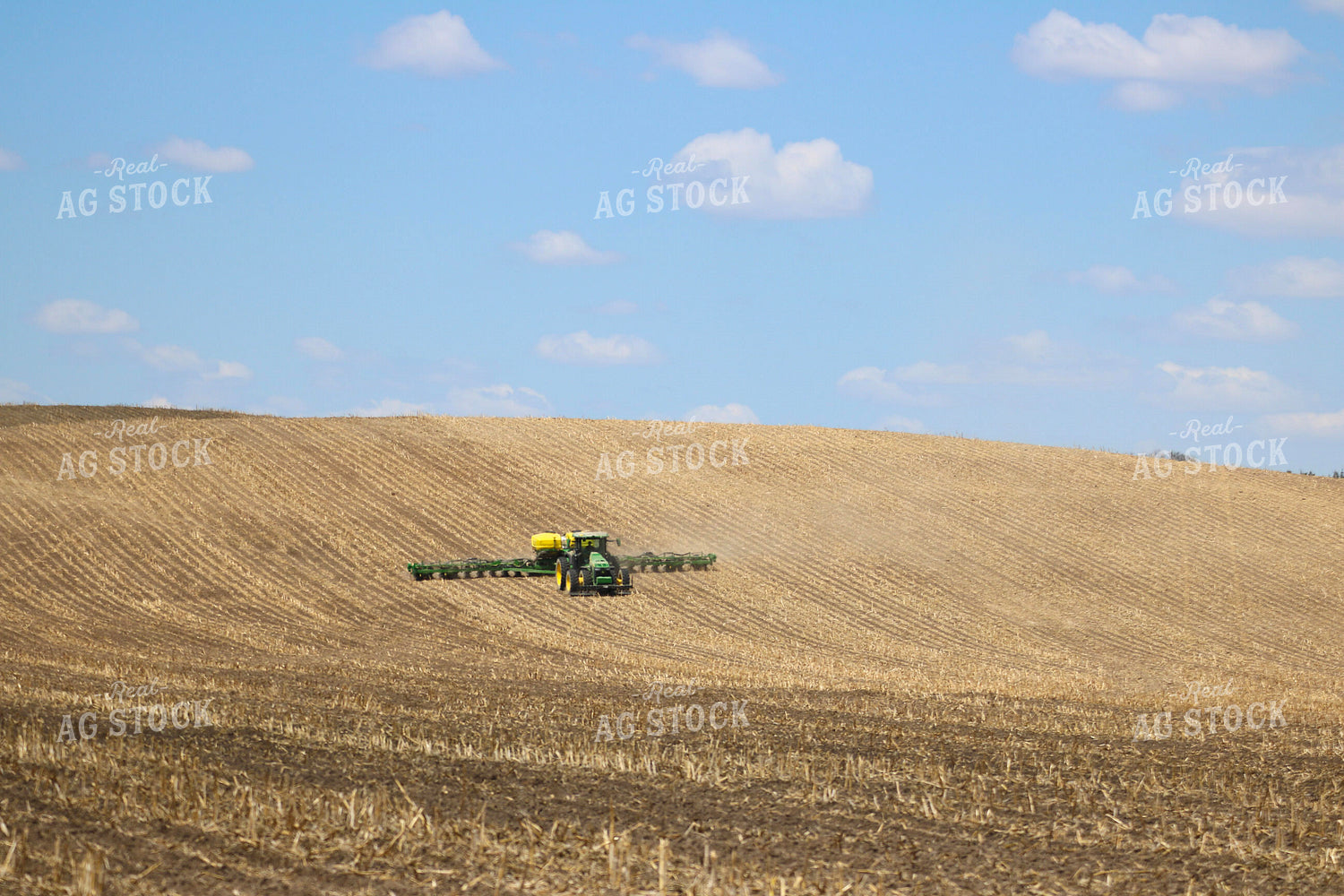 Planting in No Till Field 82394