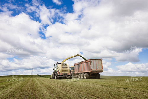 Harvesting Hay Silage 152457